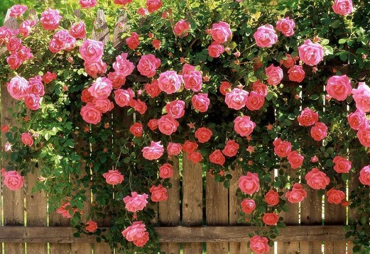 /UploadFiles/image/2016-09-06/57ce27ab1a7eb.jpg 2013-08-31-2-44-3-d01ba3a5-622a-48e4-99c3-857f2966d66c.jpg