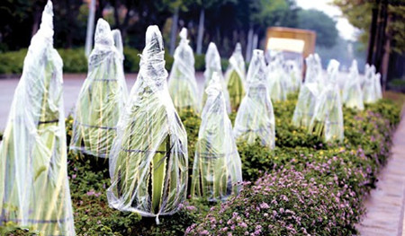 /UploadFiles/image/2016-11-23/5834fb9b7df10.jpg 10-37-59-23-101184.jpg