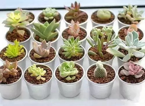 /UploadFiles/image/2017-01-06/586f06050e6ea.jpg 56081483064957.jpg