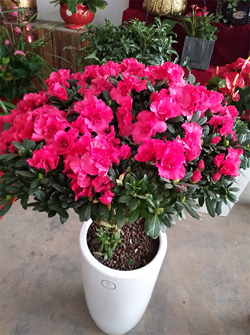 /UploadFiles/image/2017-03-04/58ba1683e8ffe.jpg 未標(biāo)題-1.jpg