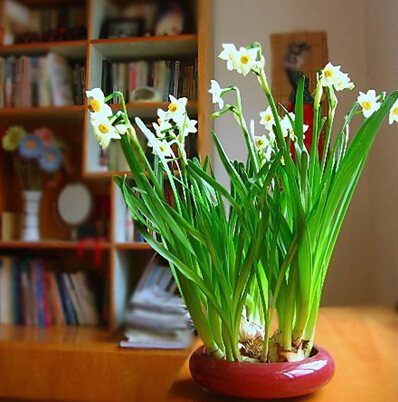 /UploadFiles/image/2017-05-19/591e4f02738bb.jpg f6dc3ada-5e5d-479a-8682-11c31ecb01ac.jpg