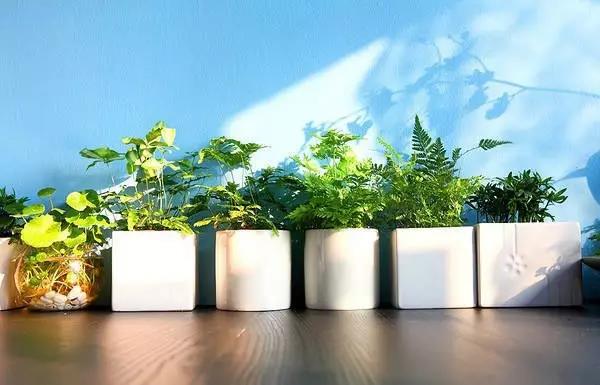 /UploadFiles/image/2017-06-14/59409ee5e1c4f.jpg 微信圖片_20170614102251.jpg