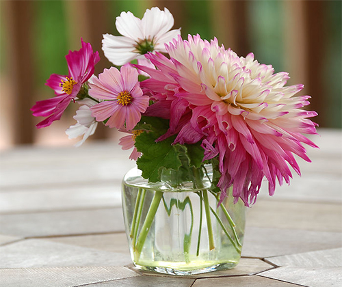 /UploadFiles/image/2017-06-23/594c72a1b44e1.jpg 未標題-1.jpg