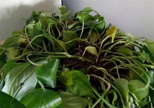 /UploadFiles/image/2017-08-03/59828bc69fa37.jpg 20170726085717789.jpg