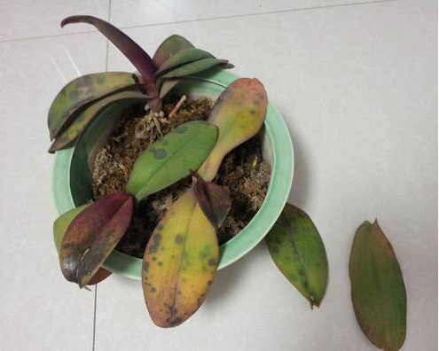 /UploadFiles/image/2017-08-23/599cfb7616b2c.jpg /UploadFiles/image/2017-08-23/599cfb7616b2c.jpg