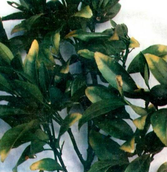 /UploadFiles/image/2017-08-23/599cfb7696c9d.jpg /UploadFiles/image/2017-08-23/599cfb7696c9d.jpg