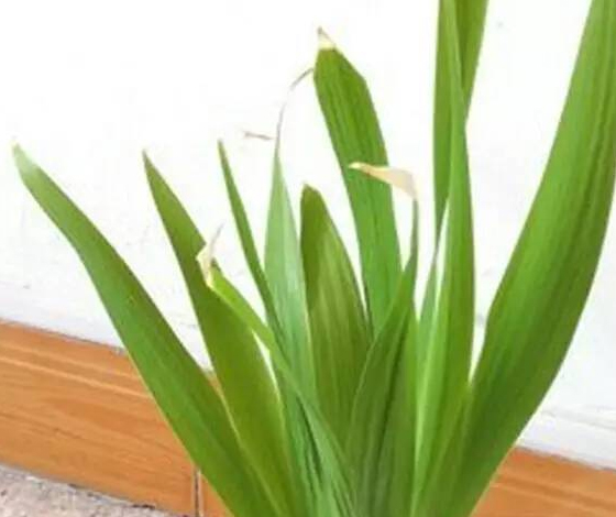 /UploadFiles/image/2017-08-23/599cfb78710db.jpg /UploadFiles/image/2017-08-23/599cfb78710db.jpg