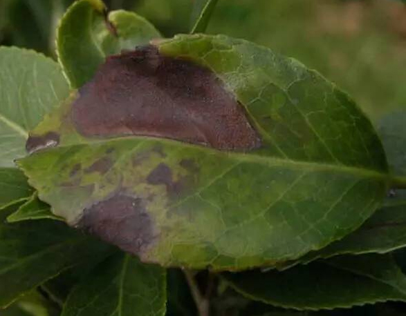 /UploadFiles/image/2017-08-23/599cfb7a932dd.jpg /UploadFiles/image/2017-08-23/599cfb7a932dd.jpg