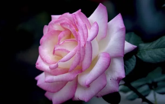 /UploadFiles/image/2018-08-06/5b680c39512a1.png QQ圖片20180806165146.png