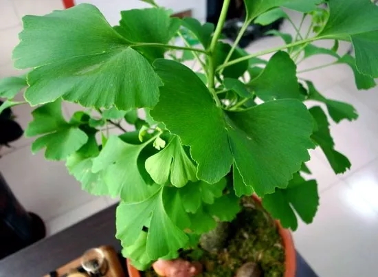 /UploadFiles/image/2018-08-27/5b83c09679992.jpg /UploadFiles/image/2018-08-27/5b83c09679992.jpg