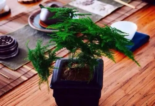 /UploadFiles/image/2018-08-27/5b83c3e292247.jpg 640 (1).webp (16).jpg