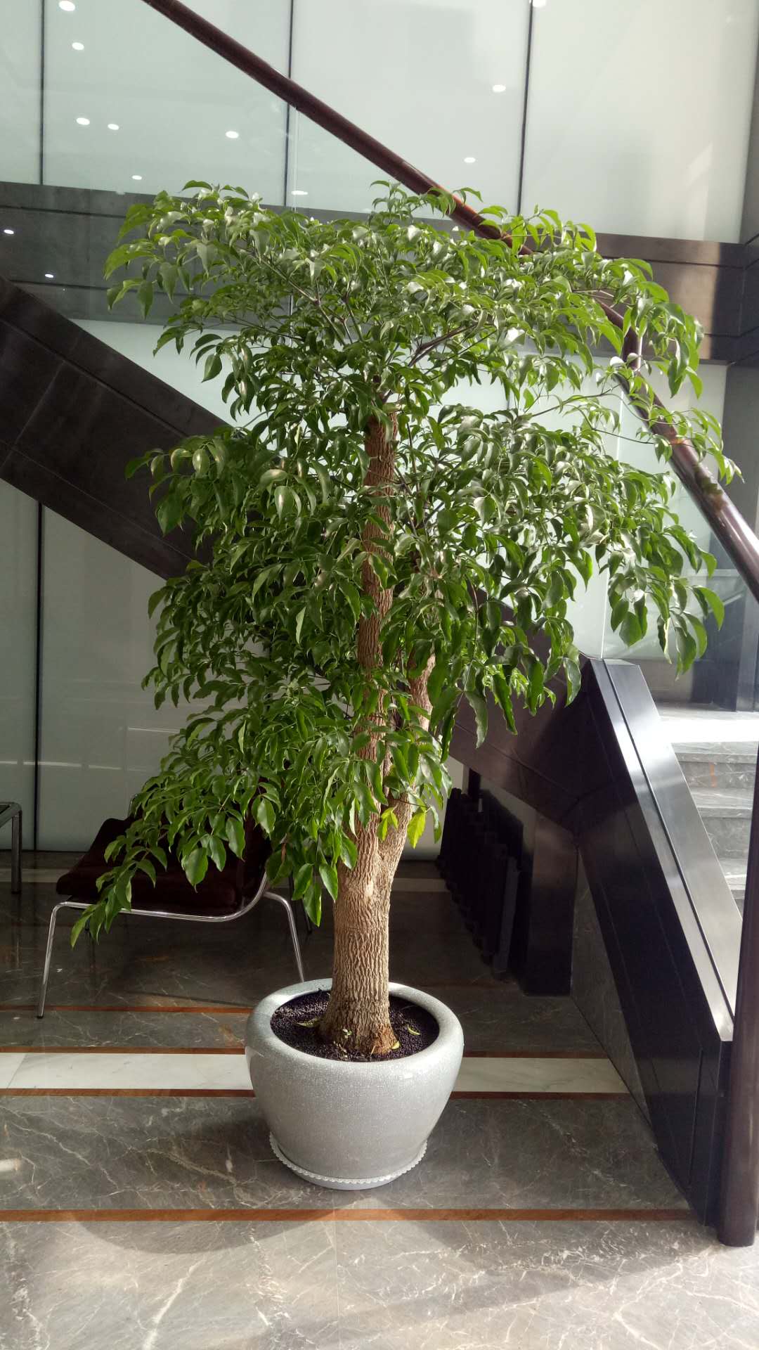 /UploadFiles/image/2018-09-12/5b98c2a6cd4de.jpg /UploadFiles/image/2018-09-12/5b98c2a6cd4de.jpg