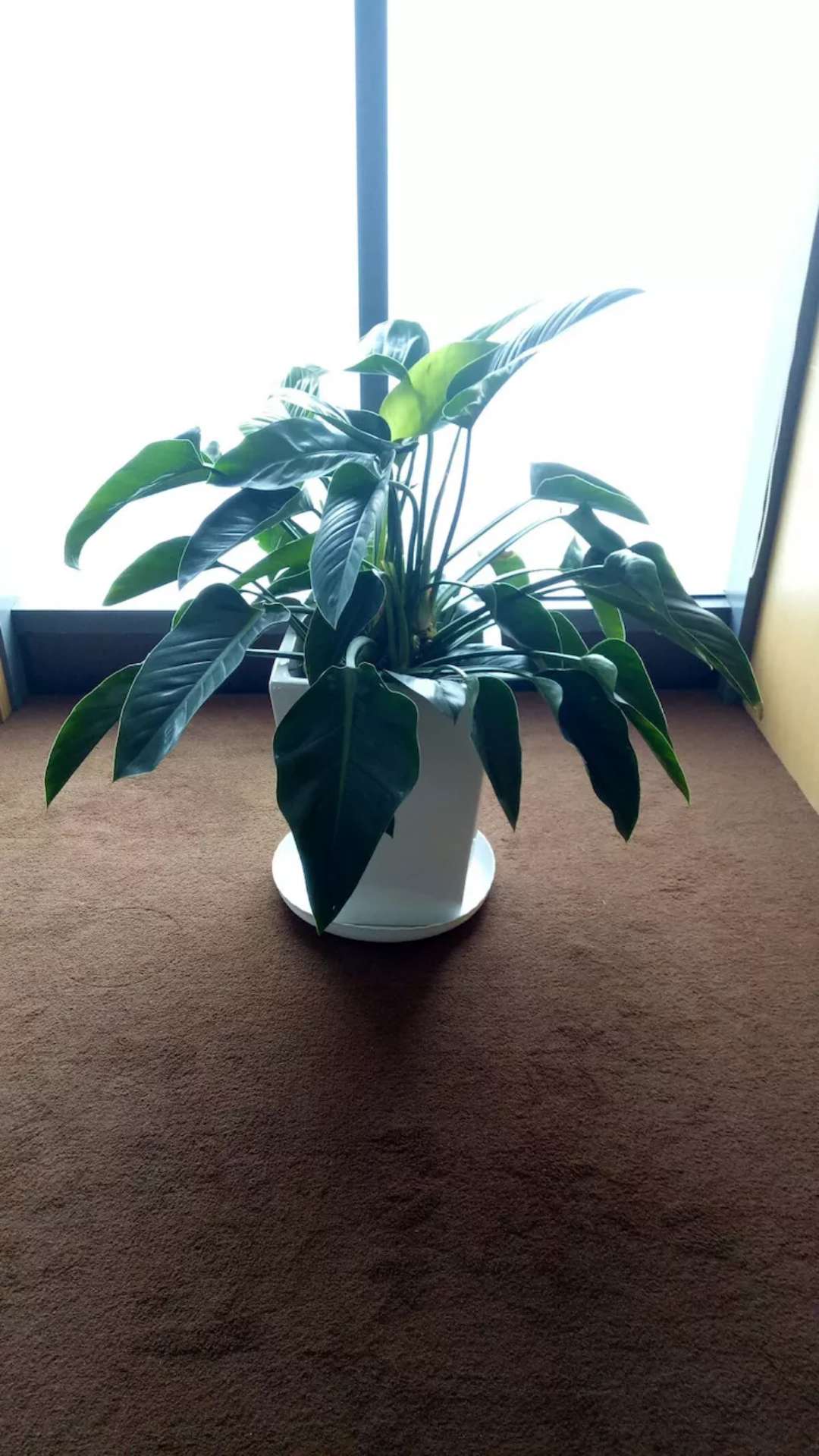 /UploadFiles/image/2018-09-12/5b98c2a73dac9.jpg /UploadFiles/image/2018-09-12/5b98c2a73dac9.jpg