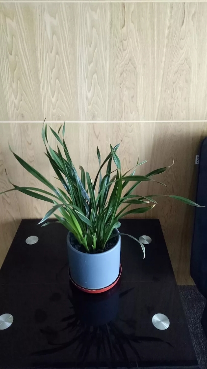 /UploadFiles/image/2018-09-12/5b98c2a79f30d.jpg /UploadFiles/image/2018-09-12/5b98c2a79f30d.jpg