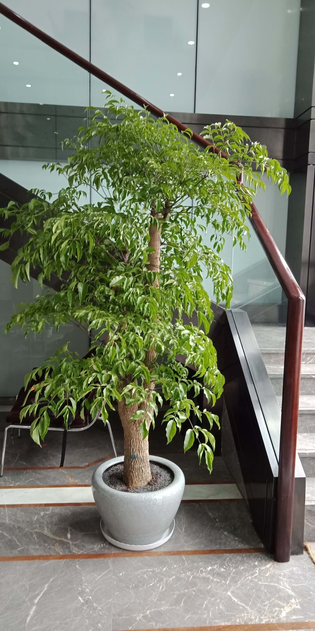 /UploadFiles/image/2018-09-12/5b98c2a7cff1f.jpg /UploadFiles/image/2018-09-12/5b98c2a7cff1f.jpg