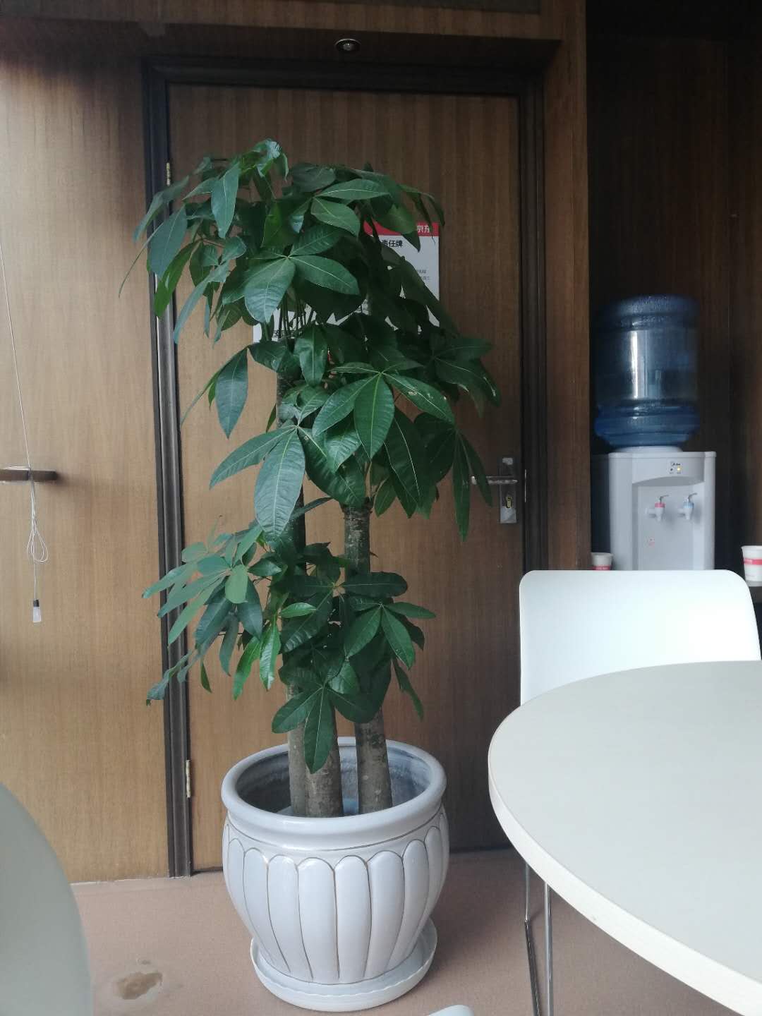 /UploadFiles/image/2018-09-12/5b98c3b1da97e.jpg /UploadFiles/image/2018-09-12/5b98c3b1da97e.jpg