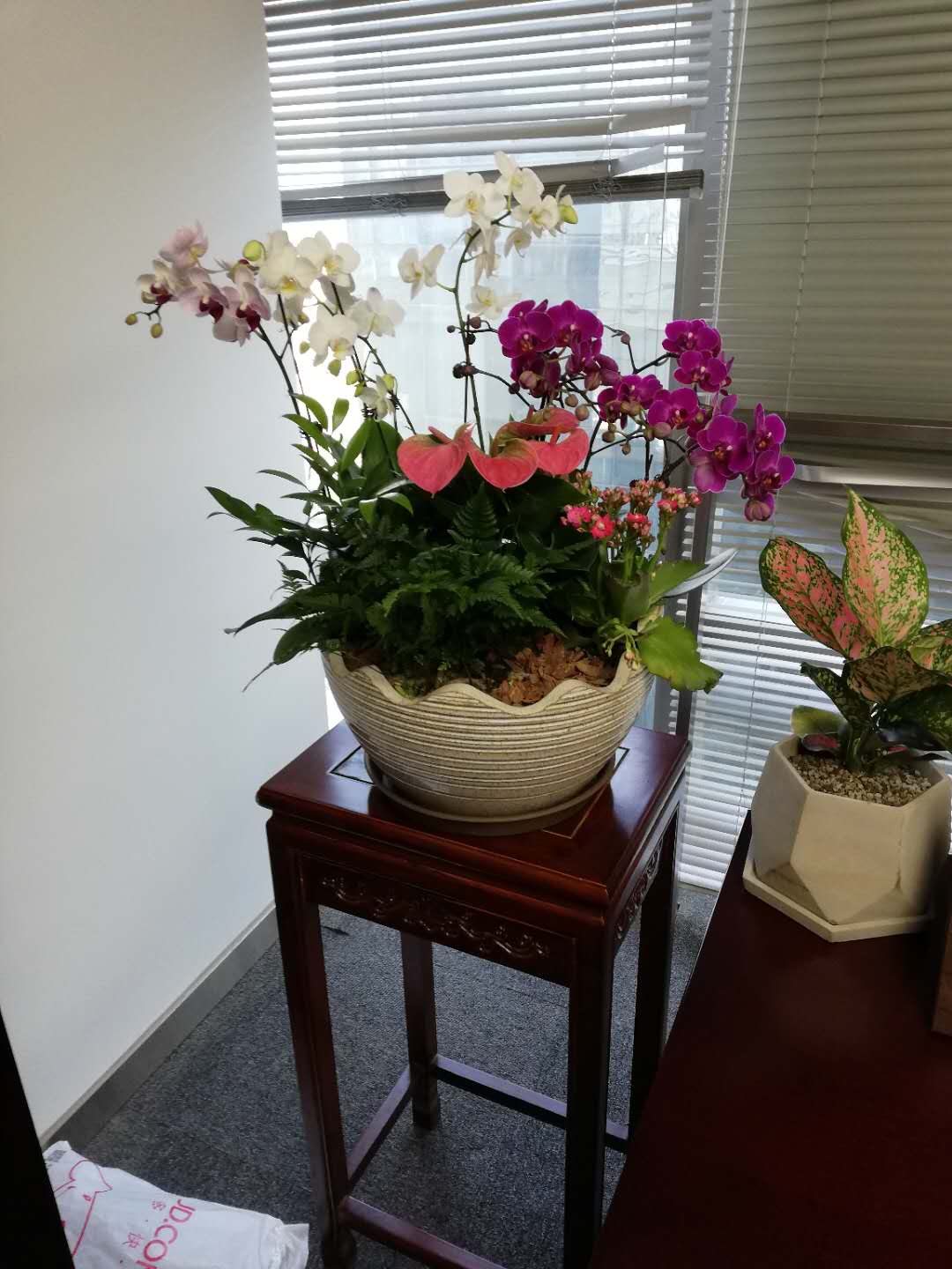 /UploadFiles/image/2018-09-12/5b98c3b217b51.jpg /UploadFiles/image/2018-09-12/5b98c3b217b51.jpg