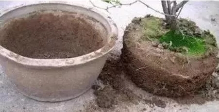 /UploadFiles/image/2018-09-21/5ba454d41c590.jpg /UploadFiles/image/2018-09-21/5ba454d41c590.jpg