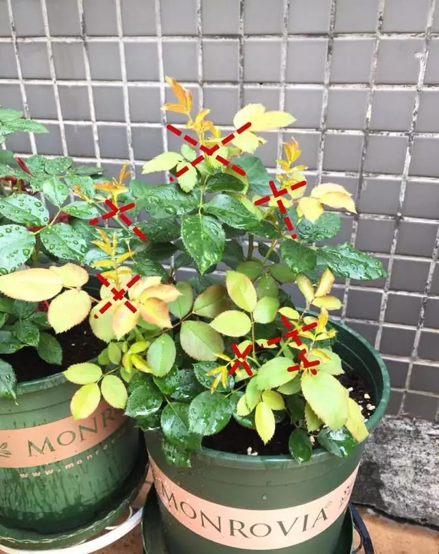 /UploadFiles/image/2018-10-10/5bbd9dde6d11d.jpg 640.webp (7).jpg