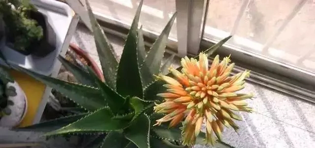 /UploadFiles/image/2018-10-17/5bc6f2d03946e.jpg /UploadFiles/image/2018-10-17/5bc6f2d03946e.jpg