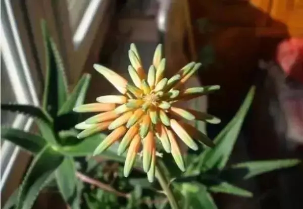 /UploadFiles/image/2018-10-17/5bc6f2dd13d3f.jpg 640.webp (32).jpg