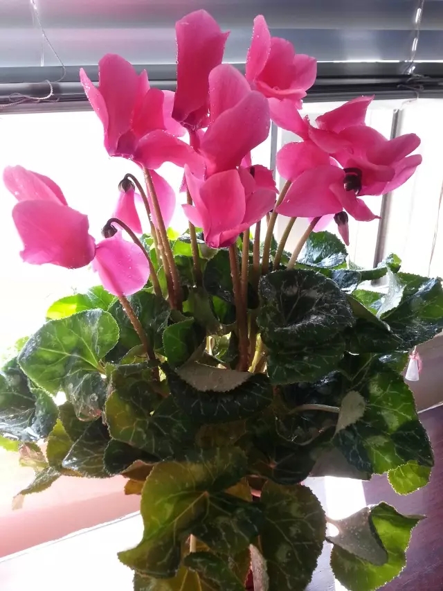 /UploadFiles/image/2018-10-17/5bc6f382664f3.jpg /UploadFiles/image/2018-10-17/5bc6f382664f3.jpg