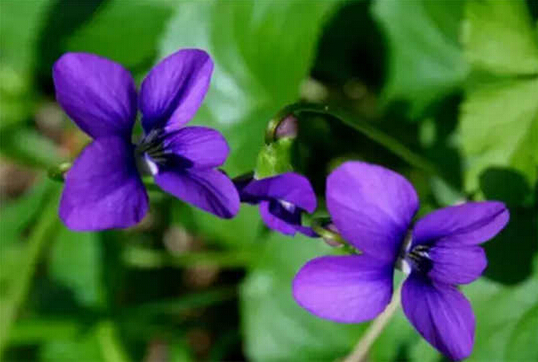 /UploadFiles/image/2018-11-14/5beb70678f3f2.jpg 0913142137781.jpg