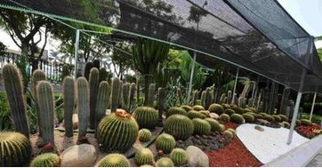 /UploadFiles/image/2018-11-27/5bfd03ca8bcfb.png /UploadFiles/image/2018-11-27/5bfd03ca8bcfb.png