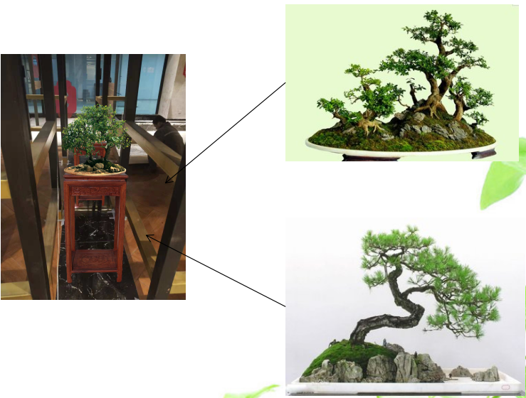 /UploadFiles/image/2018-11-27/5bfd046cee57f.png /UploadFiles/image/2018-11-27/5bfd046cee57f.png