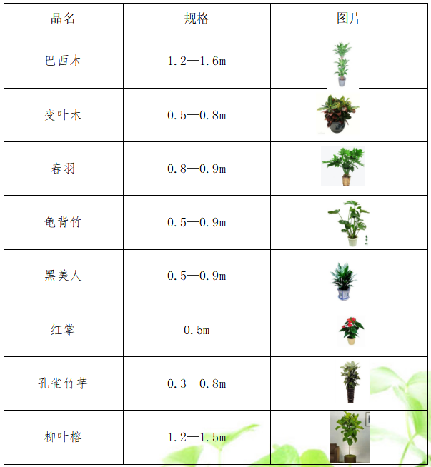 /UploadFiles/image/2018-11-27/5bfd04a5b05cc.png /UploadFiles/image/2018-11-27/5bfd04a5b05cc.png