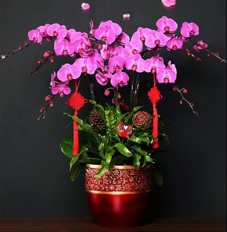 /UploadFiles/image/2020-01-06/5e128c977f039.jpg /UploadFiles/image/2020-01-06/5e128c977f039.jpg