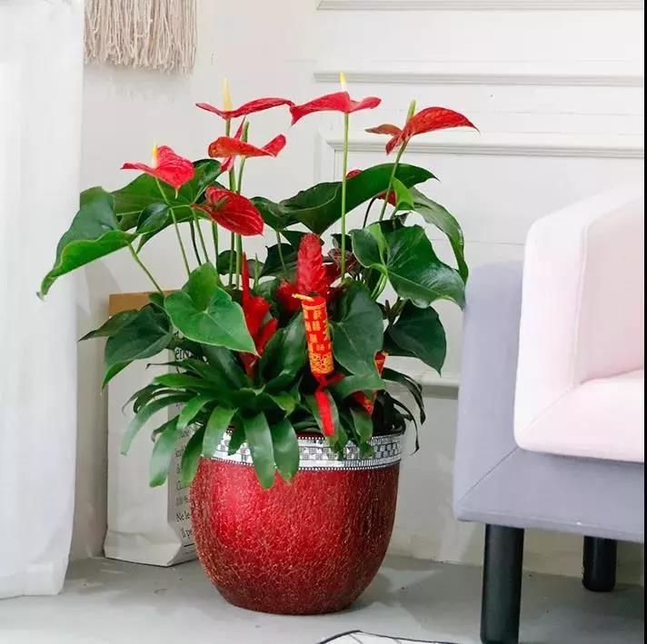 /UploadFiles/image/2020-01-06/5e128cdbd644d.jpg /UploadFiles/image/2020-01-06/5e128cdbd644d.jpg