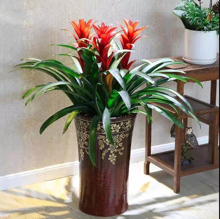 /UploadFiles/image/2020-01-06/5e128cf422bd9.jpg /UploadFiles/image/2020-01-06/5e128cf422bd9.jpg