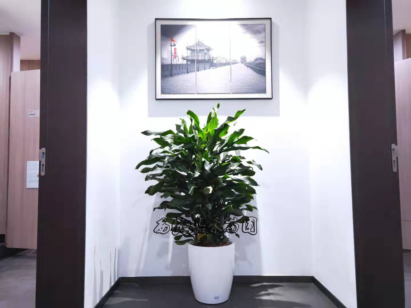 /UploadFiles/image/2020-01-07/5e1422f4dc065.jpg /UploadFiles/image/2020-01-07/5e1422f4dc065.jpg