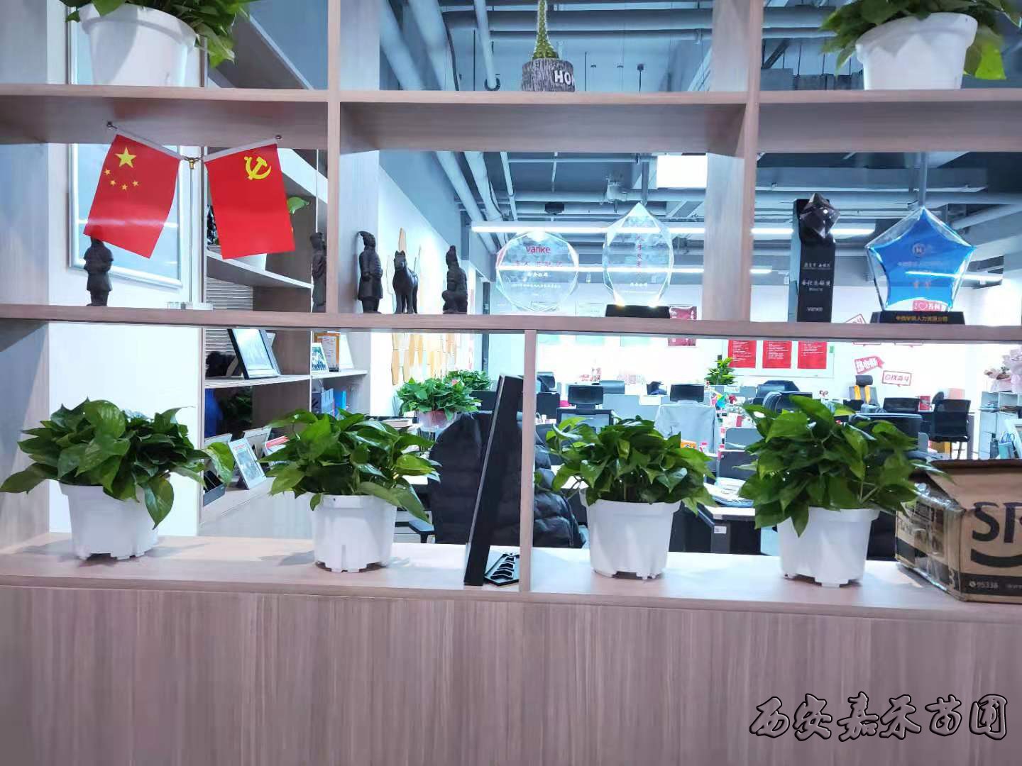 /UploadFiles/image/2020-01-07/5e1422f684459.jpg /UploadFiles/image/2020-01-07/5e1422f684459.jpg