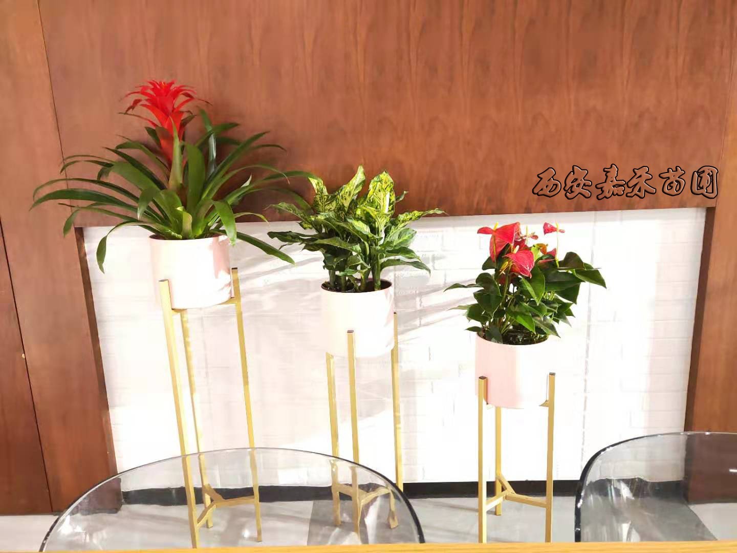 /UploadFiles/image/2020-01-07/5e1422fa9ab7b.jpg /UploadFiles/image/2020-01-07/5e1422fa9ab7b.jpg