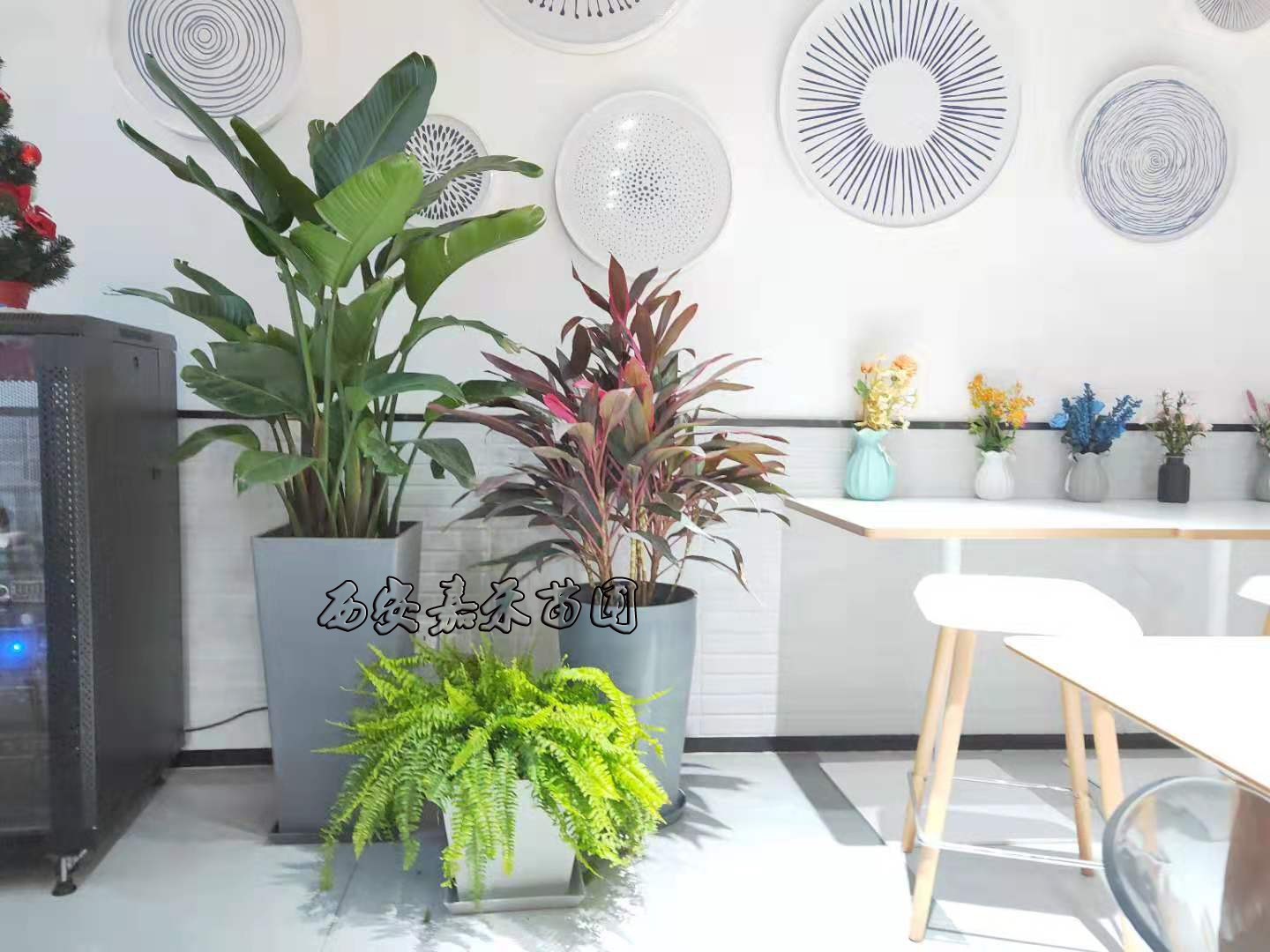 /UploadFiles/image/2020-01-07/5e1422fd64360.jpg /UploadFiles/image/2020-01-07/5e1422fd64360.jpg