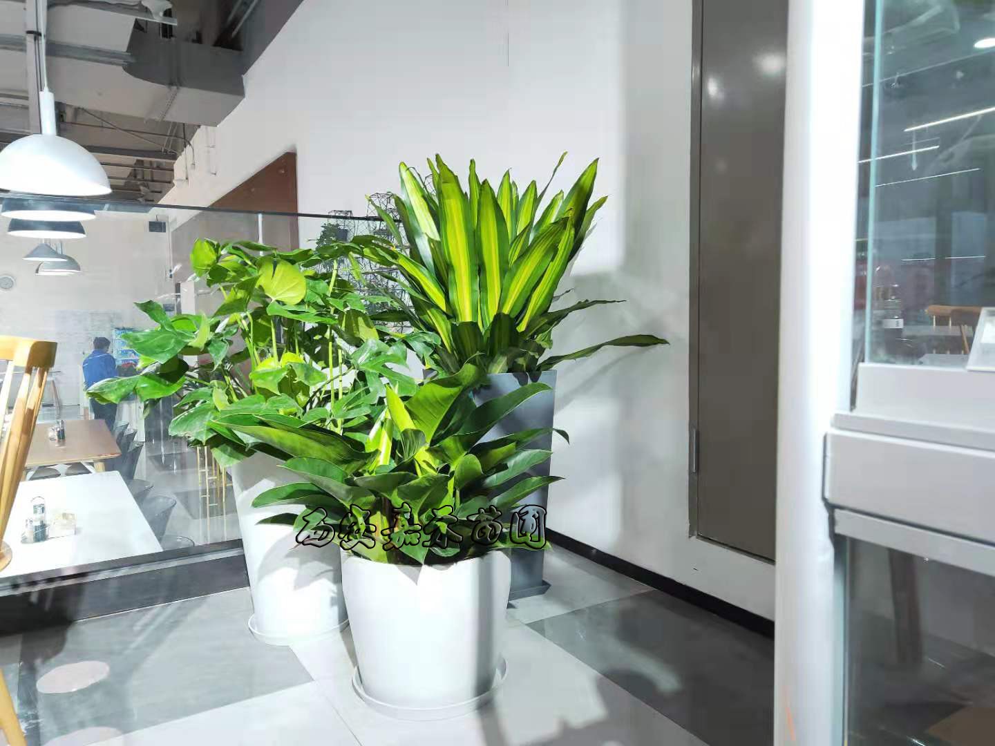 /UploadFiles/image/2020-01-07/5e14230022bdb.jpg /UploadFiles/image/2020-01-07/5e14230022bdb.jpg