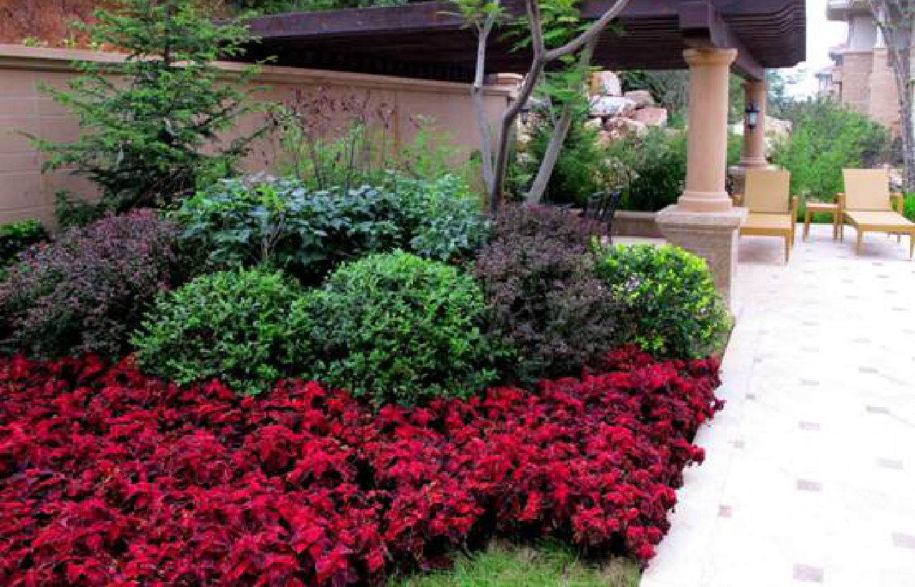 /UploadFiles/image/2020-01-21/5e26509a4bab7.png /UploadFiles/image/2020-01-21/5e26509a4bab7.png