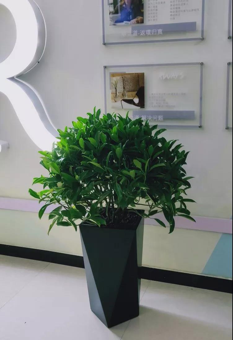 /UploadFiles/image/2020-02-19/5e4ce0a9ab048.jpg 微信圖片_20200219151426.jpg