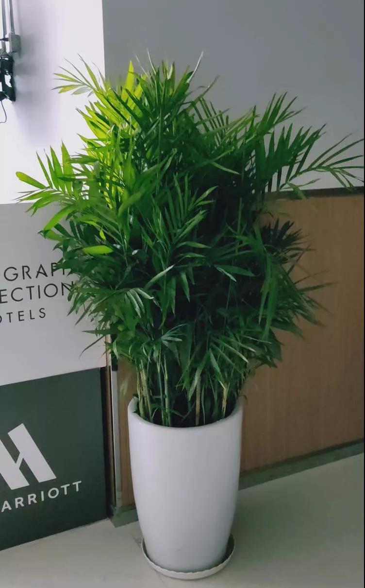 /UploadFiles/image/2020-02-19/5e4ce0d2d4868.jpg 微信圖片_20200219151457.jpg