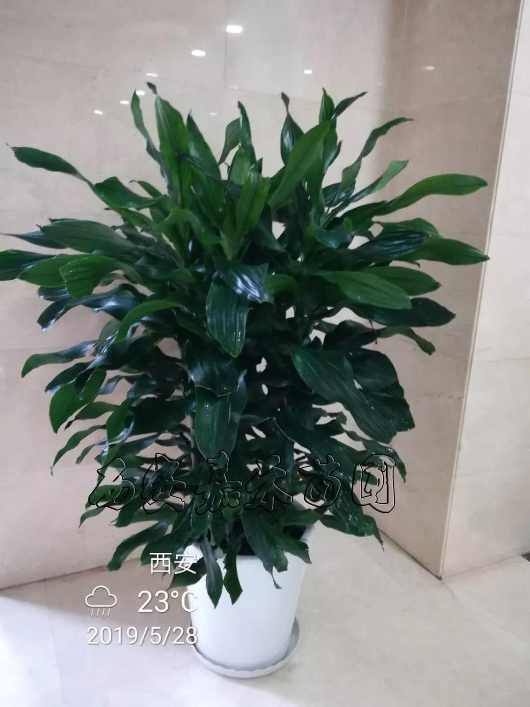 /UploadFiles/image/2020-02-19/5e4ce102badae.jpg 微信圖片_20200219151510.jpg