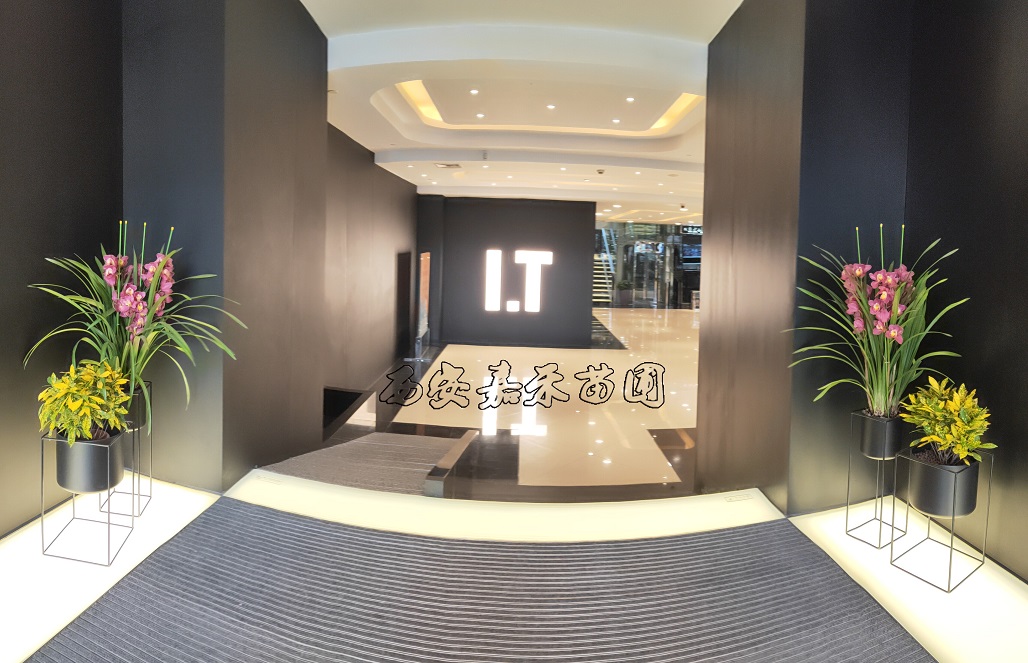 /UploadFiles/image/2020-03-10/5e6735b4336e6.jpg /UploadFiles/image/2020-03-10/5e6735b4336e6.jpg