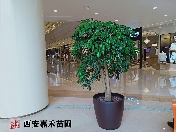 /UploadFiles/image/2020-05-21/5ec5e306b03ee.jpg /UploadFiles/image/2020-05-21/5ec5e306b03ee.jpg