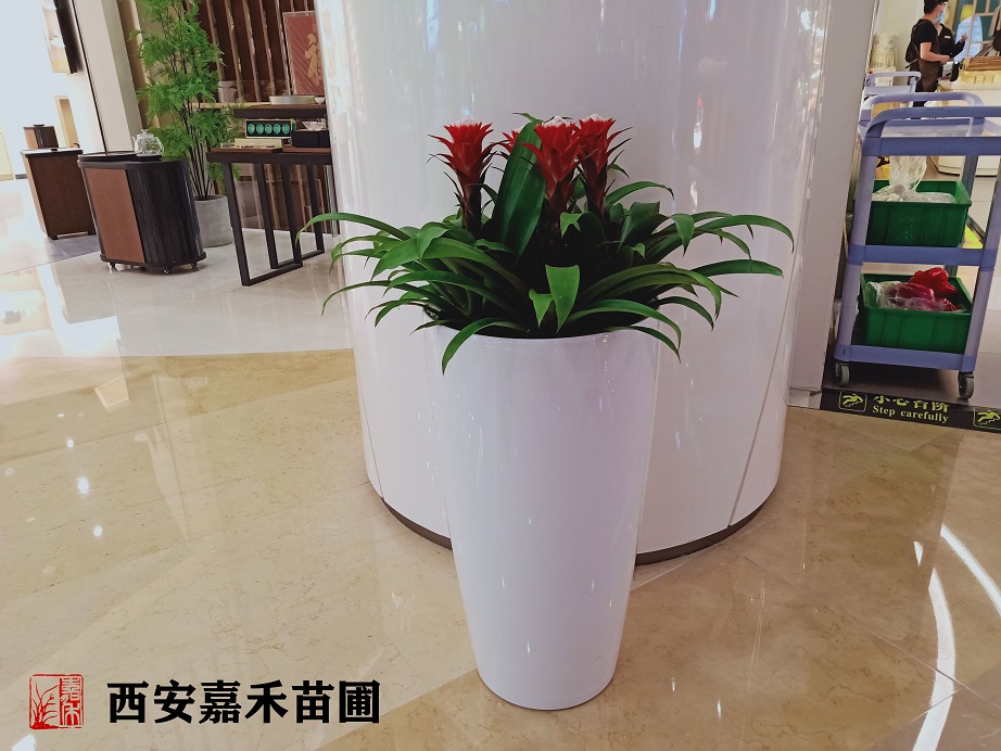 /UploadFiles/image/2020-05-21/5ec5e31106999.jpg /UploadFiles/image/2020-05-21/5ec5e31106999.jpg