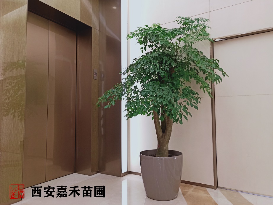 /UploadFiles/image/2020-05-21/5ec5e313d6140.jpg /UploadFiles/image/2020-05-21/5ec5e313d6140.jpg