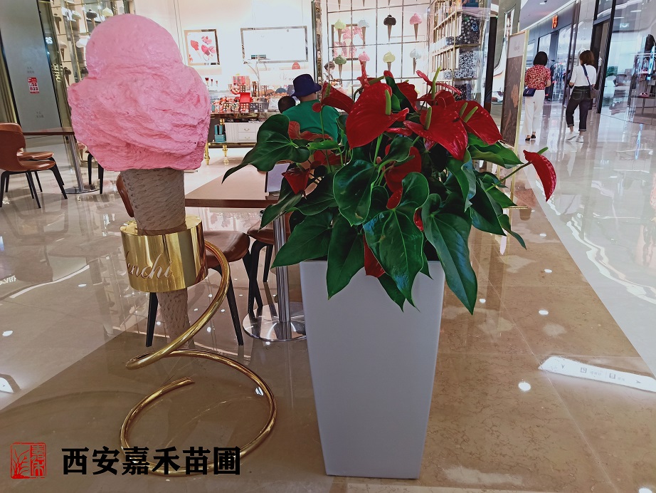 /UploadFiles/image/2020-05-21/5ec5e31547483.jpg /UploadFiles/image/2020-05-21/5ec5e31547483.jpg