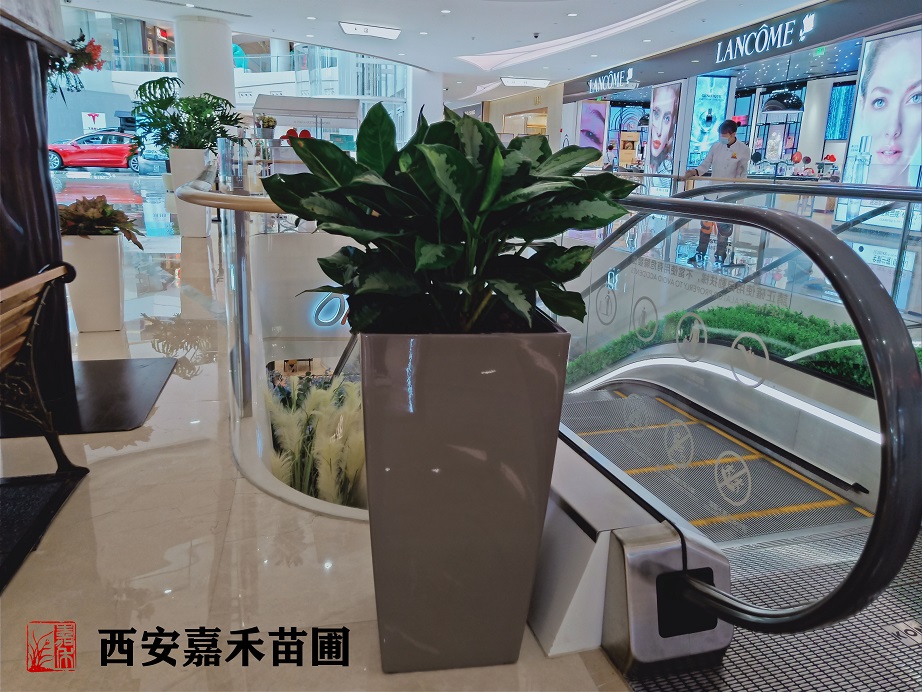 /UploadFiles/image/2020-05-21/5ec5e316a8edb.jpg /UploadFiles/image/2020-05-21/5ec5e316a8edb.jpg