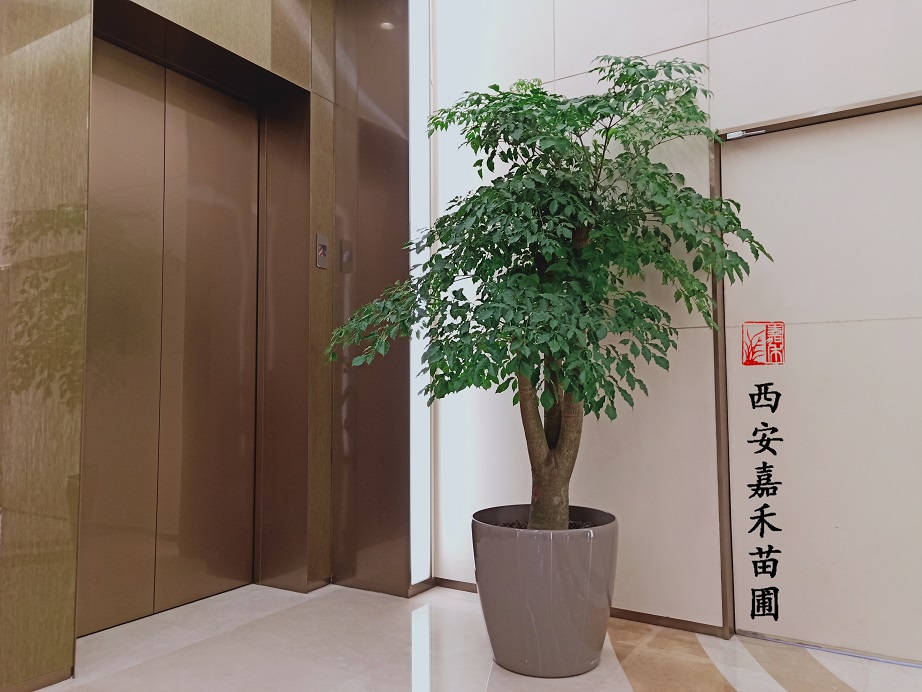 /UploadFiles/image/2020-06-13/5ee42466a1878.jpg /UploadFiles/image/2020-06-13/5ee42466a1878.jpg