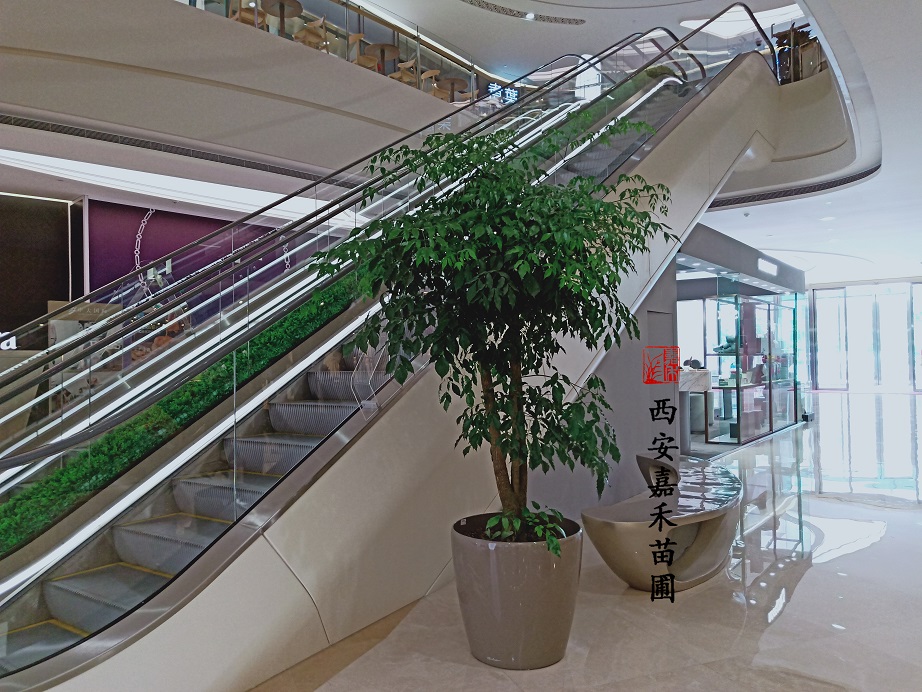 /UploadFiles/image/2020-06-13/5ee42467f0ae5.jpg /UploadFiles/image/2020-06-13/5ee42467f0ae5.jpg